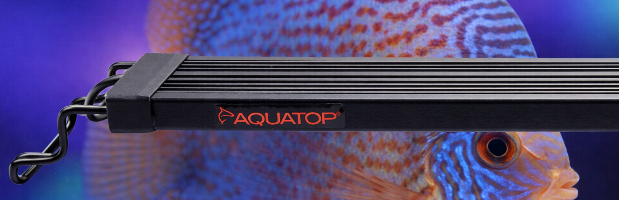 SkyAqua Economy